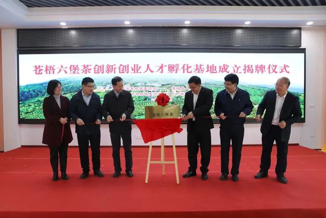 苍梧招聘网