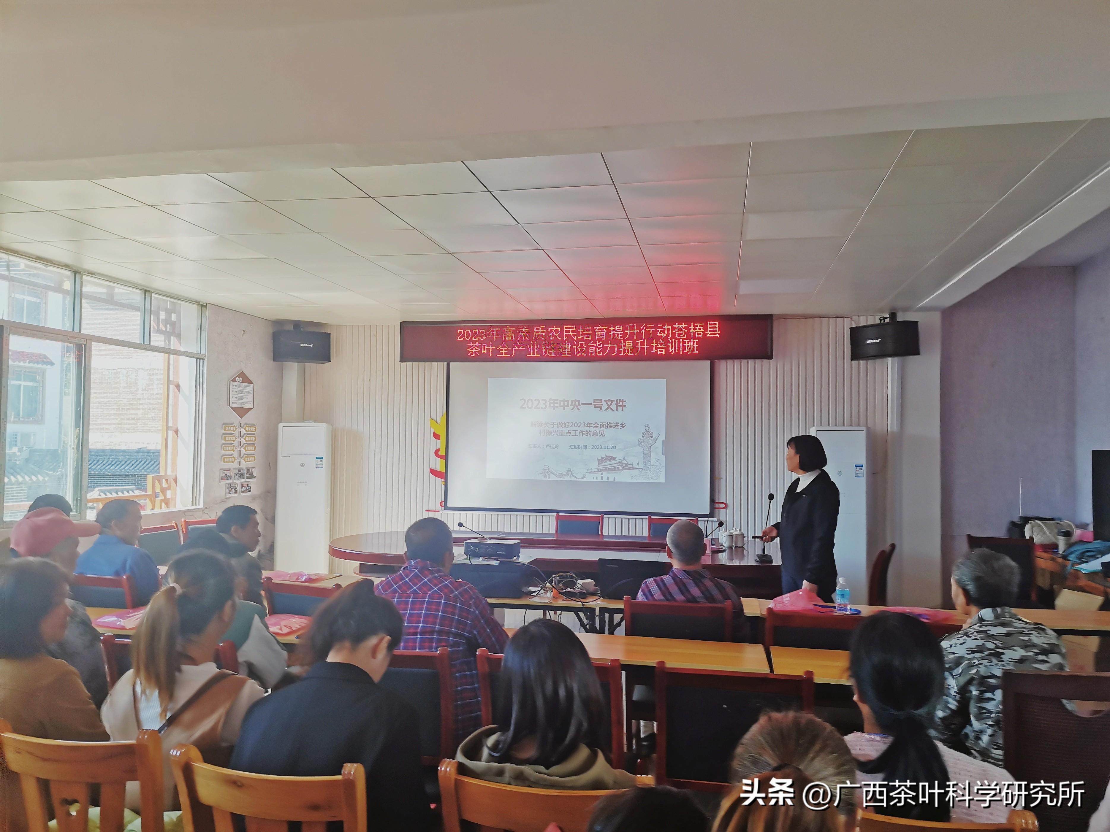 苍梧县人才招聘信息最新